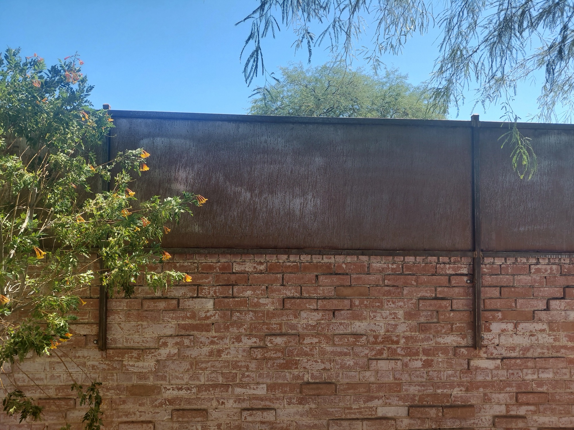 Wire & Steel Yard Fence — Residential Fencing in Southern AZ