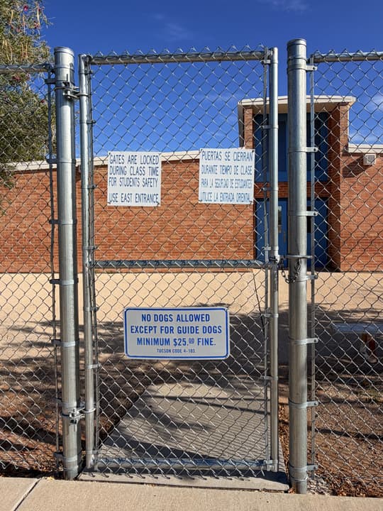 Schools — photo 16