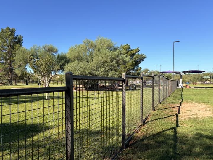 Wagging Tails – Lincoln Regional — photo 8