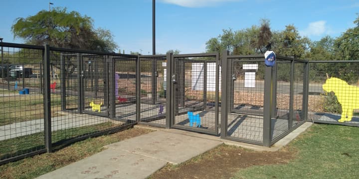Wagging Tails – Lincoln Regional — photo 10