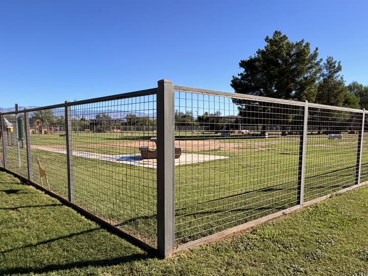 Wagging Tails – Lincoln Regional — photo 13